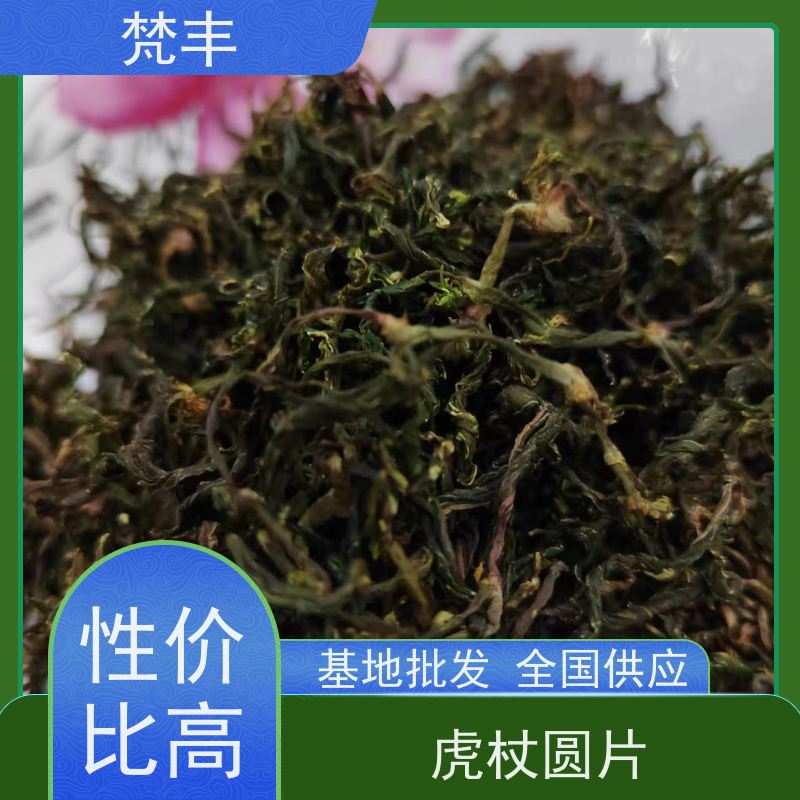 梵丰 虎杖种植技术 各种规格支持过筛 库存充足 