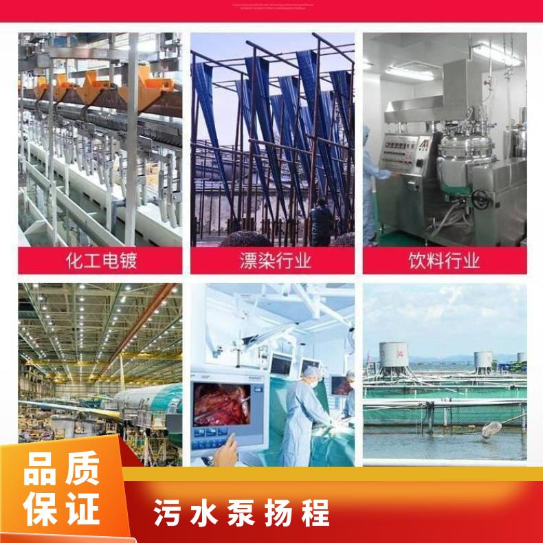 WQDF30-17037 米高扬程污水泵 单级 电动 10m~60m 不阻塞