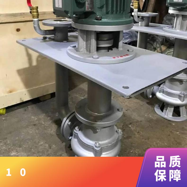 NL100-16 10 泥浆选型 排污泵 单叶轮 电动 不阻塞 边立式 0m