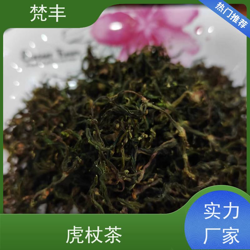 梵丰 虎杖驯化技术 各种规格支持过筛 库存充足 厂家供应