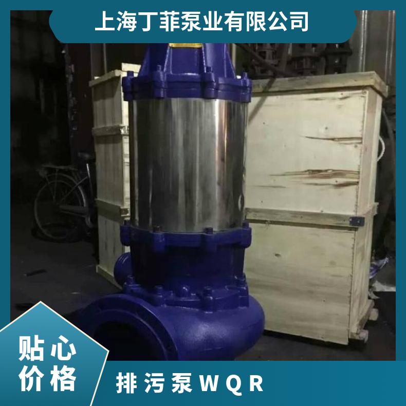 WQR300-8001245 *** 全保排污泵 不阻塞 电动 10m~60m