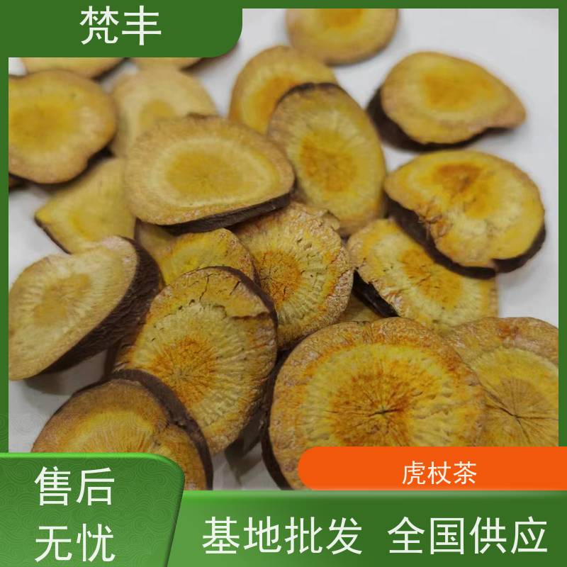 梵丰 虎杖种子 各种规格支持过筛 欢迎来电洽谈