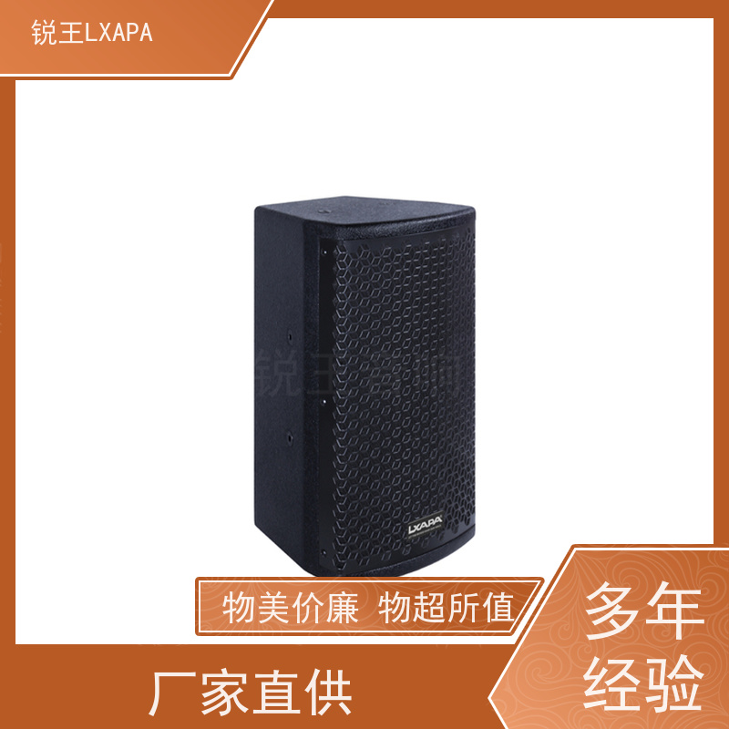 锐王LXAPA 定压音柱 小型线阵音箱 广播设备 音响