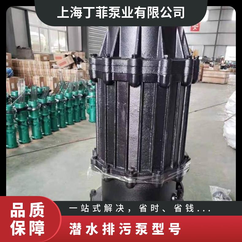 QW150-14597.5 潜水排污泵型号 不阻塞 边立式 10m~60m 电动