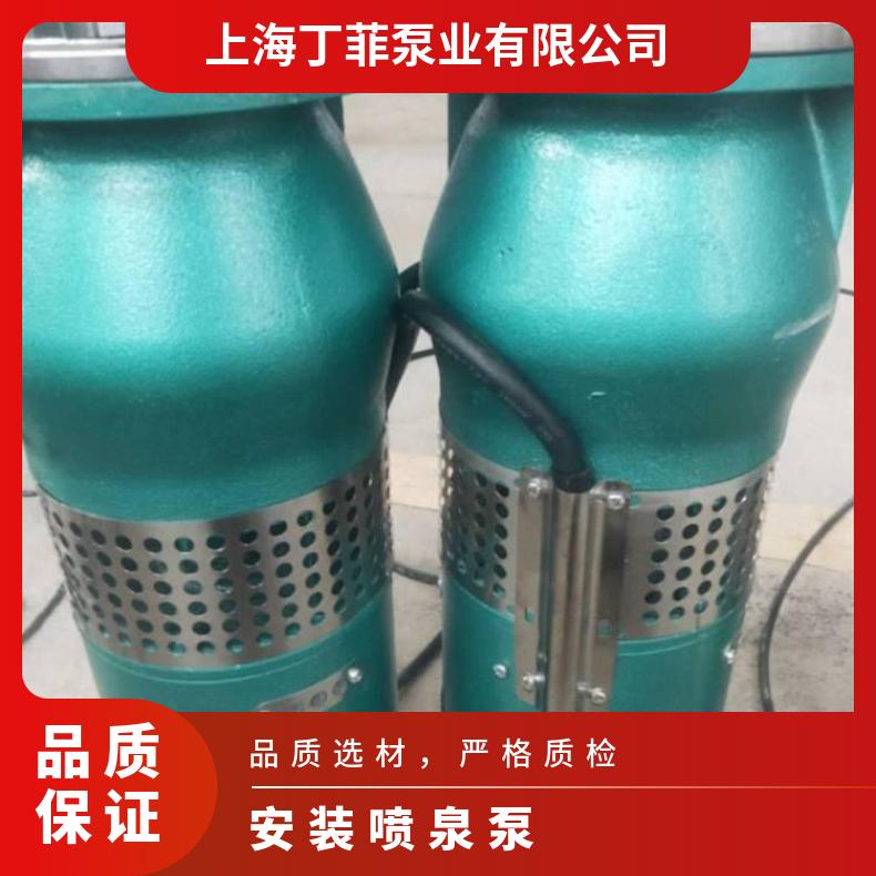 QS15-65/45.5M QSP喷泉泵厂家 清水泵 电动 不阻塞 10m~60m 卧式