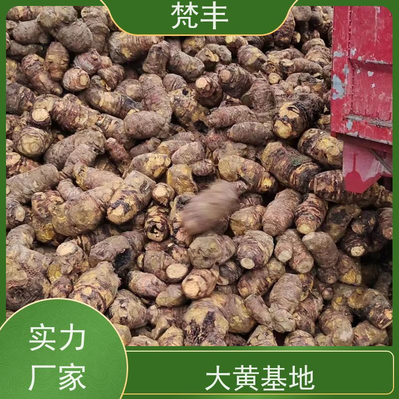 梵丰 大黄专用除草剂 抗虫害全国发货 在线接单 物流配送 
