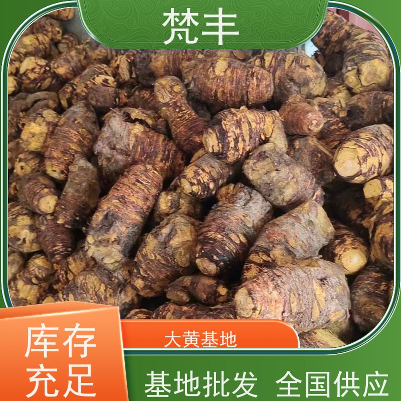 梵丰 大黄驯化技术 手选大片原材料 库存充足 切片加工