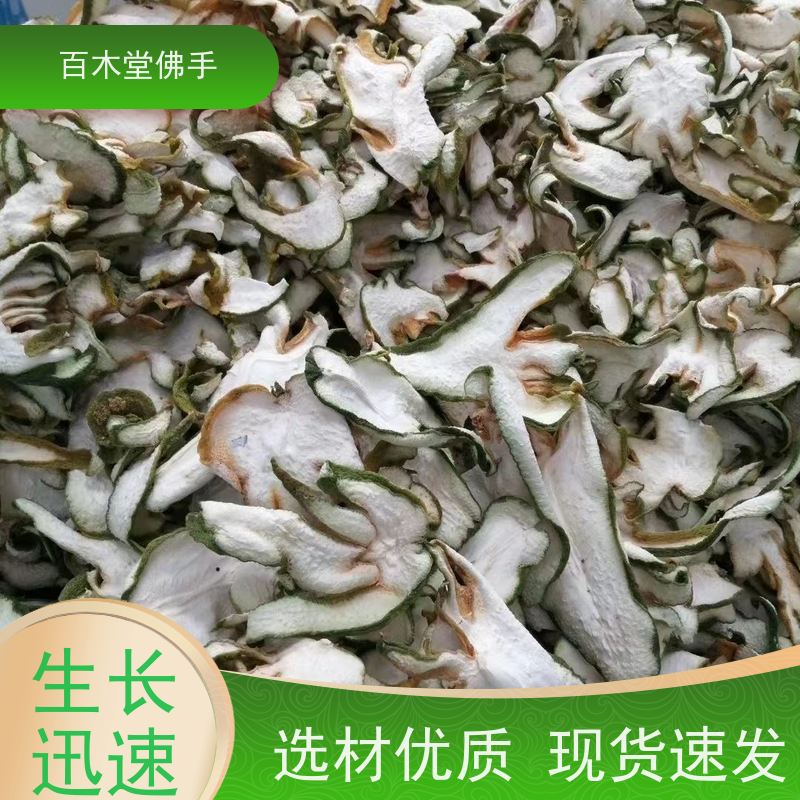 百木堂 金 佛手 高成活率 较耐干旱 中药材种植基地 