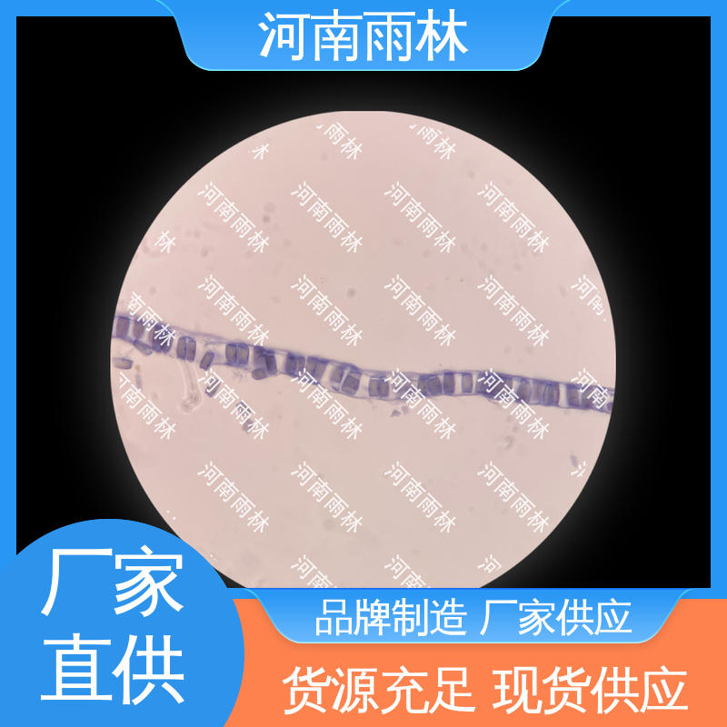 植物标本 品质优良 源头工厂 可后期加工 雨林教育工程