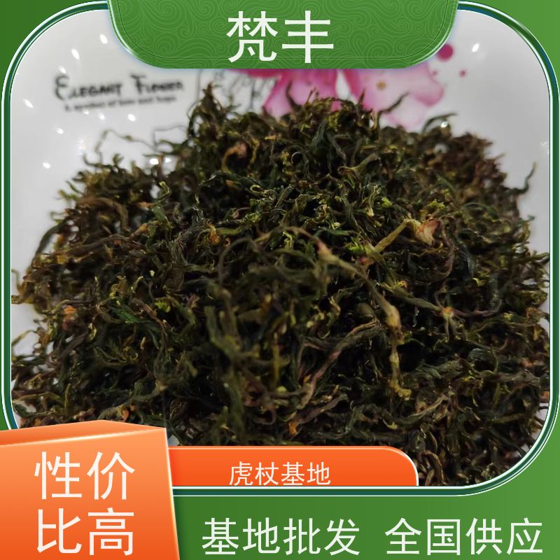 梵丰 虎杖驯化苗 提供种植技术 在线接单 物流配送 