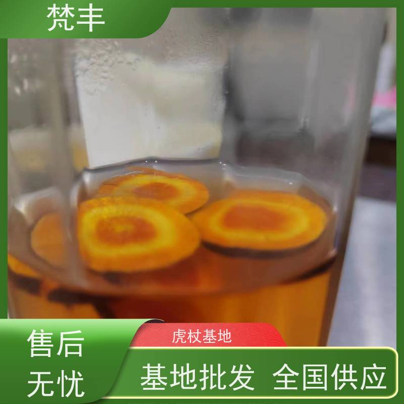 梵丰 虎杖回收 中药材苗容易种活 欢迎来电洽谈