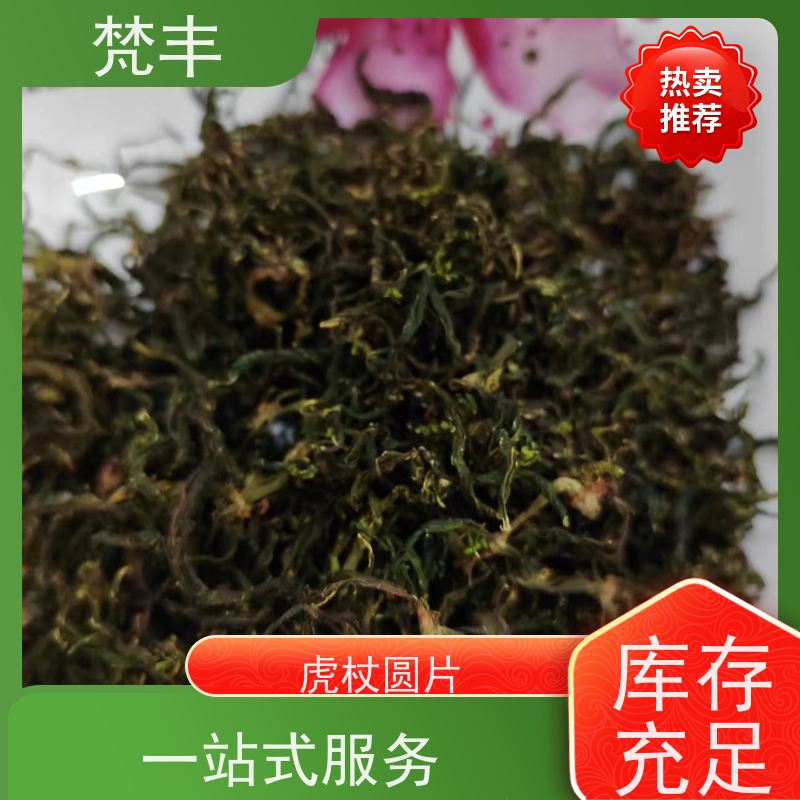 梵丰 虎杖产地 中药材苗容易种活 库存充足 厂家供应