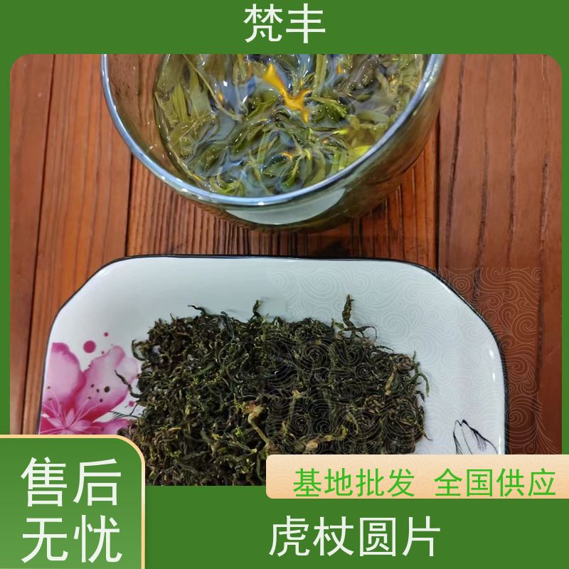 梵丰 虎杖种植技术 中药材苗容易种活 基地直发 供货及时