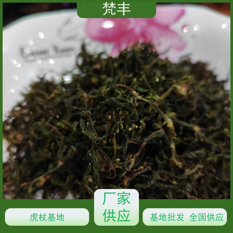 梵丰 虎杖用途 各种规格支持过筛 基地直发 供货及时