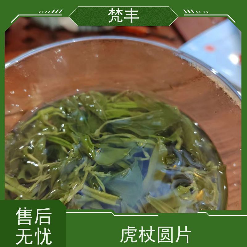梵丰 虎杖驯化苗 手选大片原材料 基地直发 供货及时