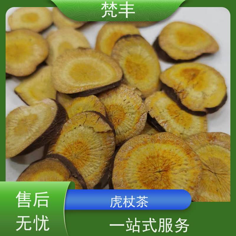 梵丰 虎杖种植技术 无硫熏蒸 基地直发 供货及时