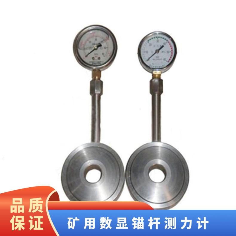 矿用数显锚杆测力计 型号20T指针式显示拉力计