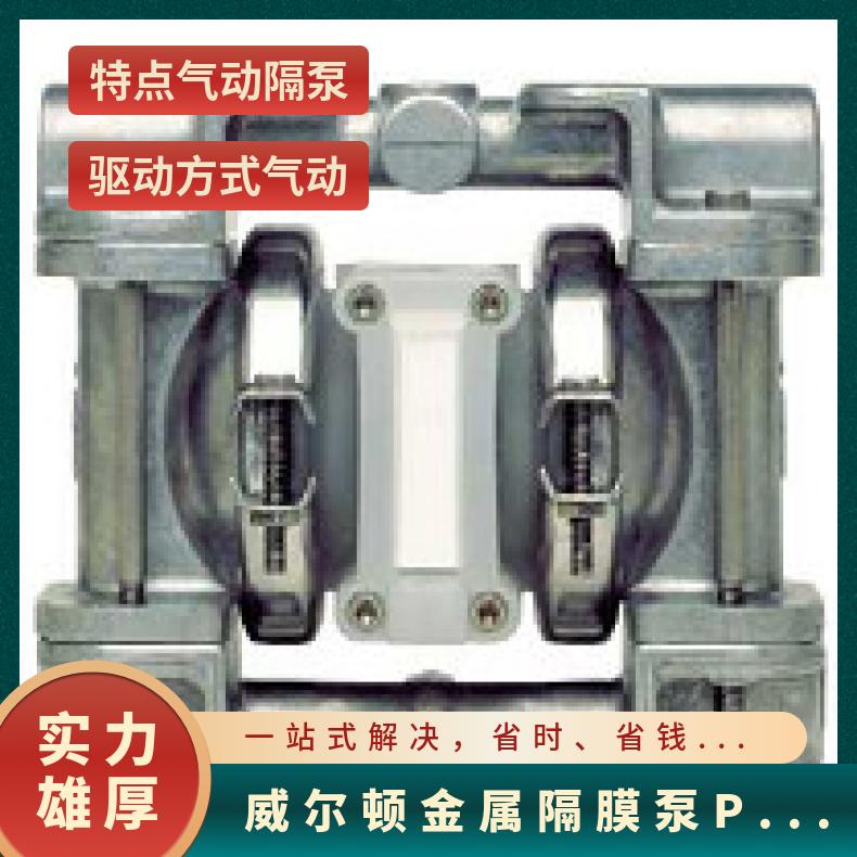01-10006?? ?威尔顿wilden气动隔膜泵?? ?T1/AAYYB/PUS/P