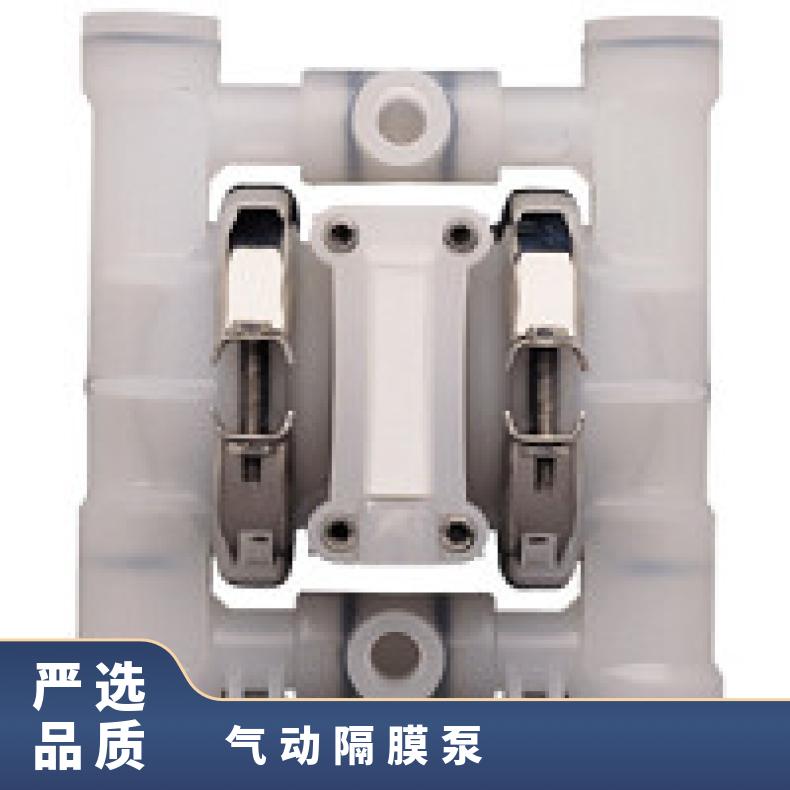 15-12010?? ?威尔顿wilden气动隔膜泵?? ?XPX/SSSSS/FW