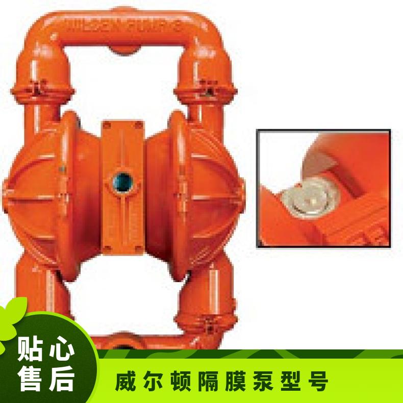 T15/WWWPB/NEU/NE//0118 威尔顿隔膜泵型号 -11795?? 