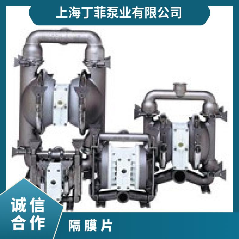 01-10918?? ?威尔顿wilden气动隔膜泵?? ?XPX1/AAAAA/BNS