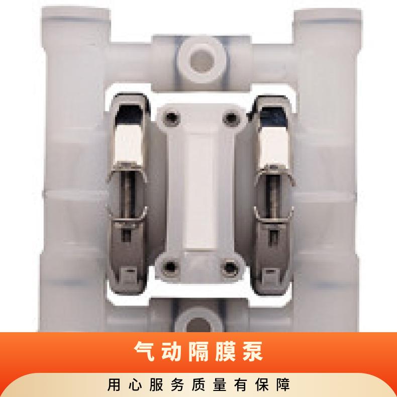 P8/AAAPP/TNU/BN/ 威尔顿PX15系列金属气动隔膜泵 04-12416