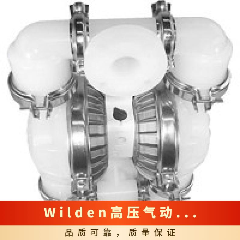 PX200/AAAAA/WFS/WF/AWF/0687 Wilden高压气动隔膜泵 T1/AAYY
