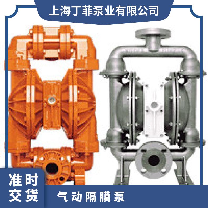 P200/AAPPP/NES/NE/ANE/0695 威尔顿P.025系列金属气动隔膜泵