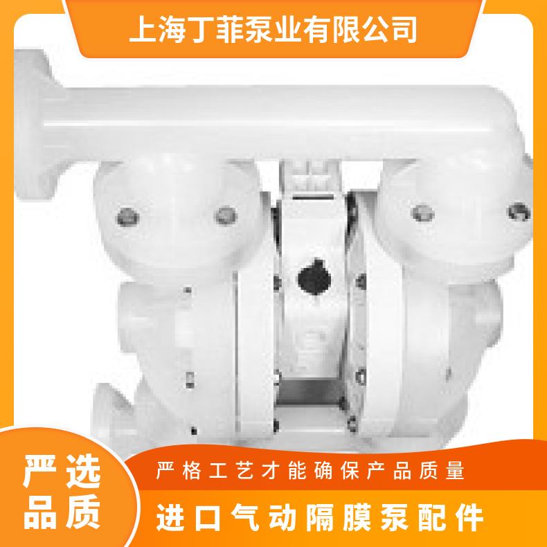 T15/AAAPB/BNS/BN/ 进口气动隔膜泵配件 P.025/SSPPP/WFS/T