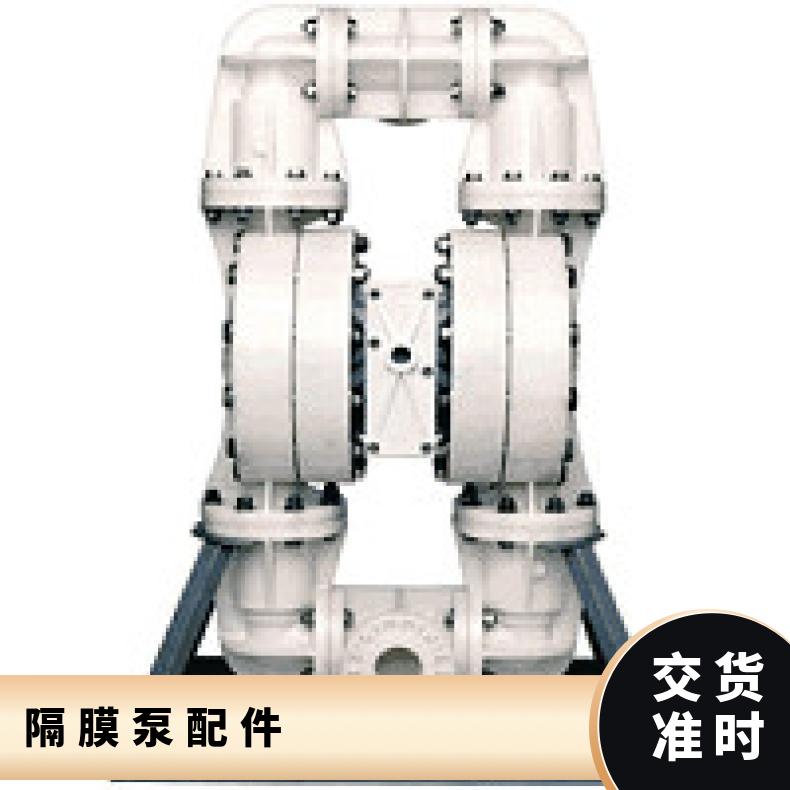 XPX200/SSAAA/TEU/TF/STF/0696 进口气动隔膜泵配件 T8/AAAPB
