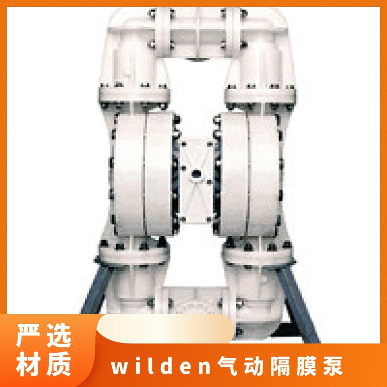 08-11425?? ?威尔顿wilden气动隔膜泵?? ?T8/AAAAB/BNU/B