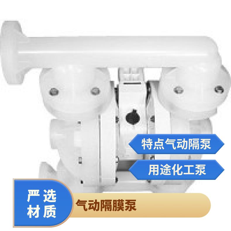 PX800/PKPPP/TNU/TF/PTV 威尔顿塑料隔膜泵P4 02-11898?? 