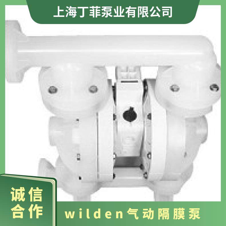 15-11877?? ?威尔顿wilden气动隔膜泵?? ?XPX/WSAAA/TN