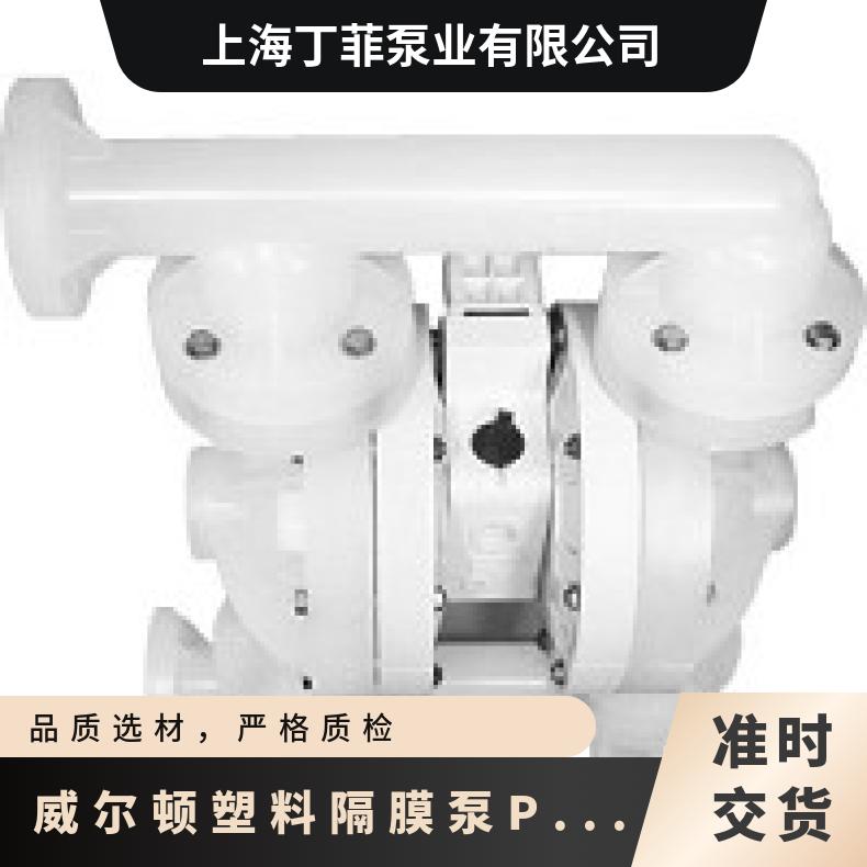 T8/AAAPB/NEU/NE//0014 威尔顿塑料隔膜泵P1500 04-12304?