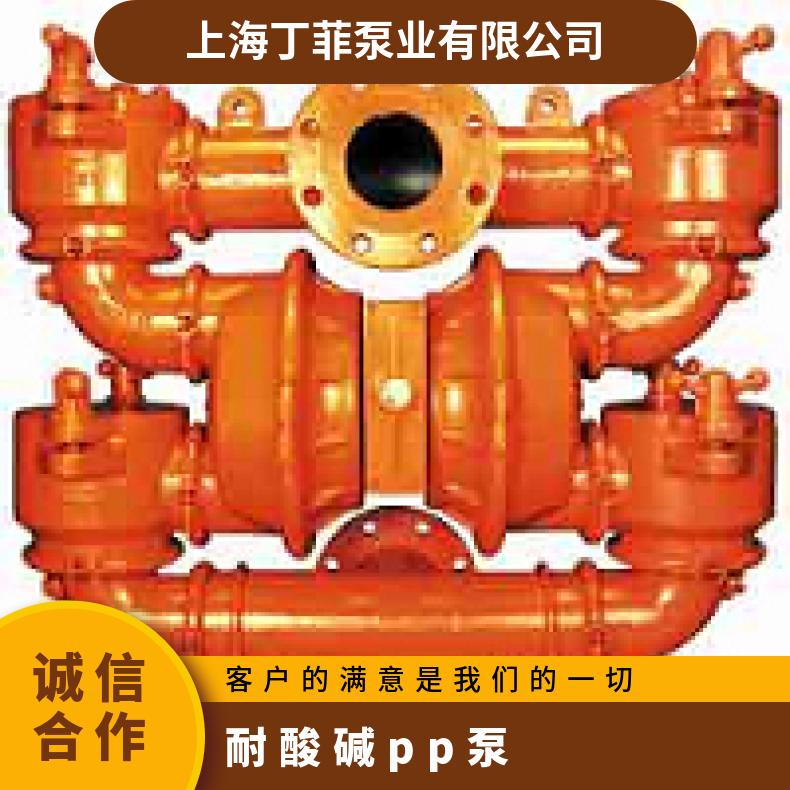 T8/WWAPB/WFS/WF/ 威尔顿P8系列金属气动隔膜泵 08-13795?