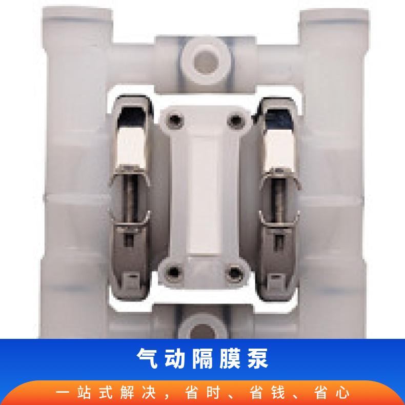 02-11697?? ?威尔顿wilden气动隔膜泵?? ?XPX200/SSAAA/T
