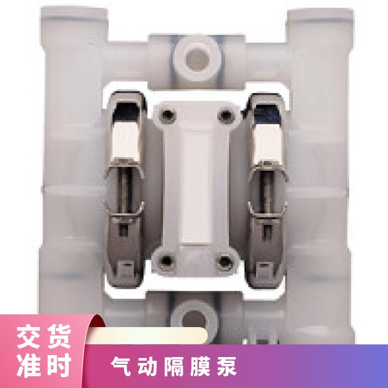 PX400/SSAAA/EPS/EP/ 威尔顿塑料隔膜泵P4 04-12478?? ?