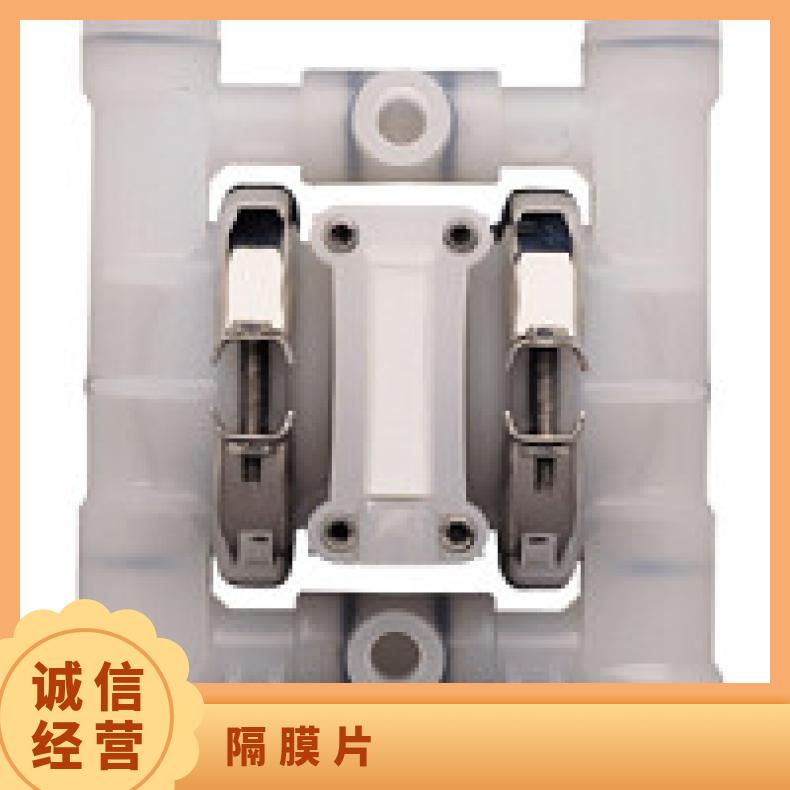 15-11121?? ?威尔顿wilden气动隔膜泵?? ?T/AAAAB/NES/