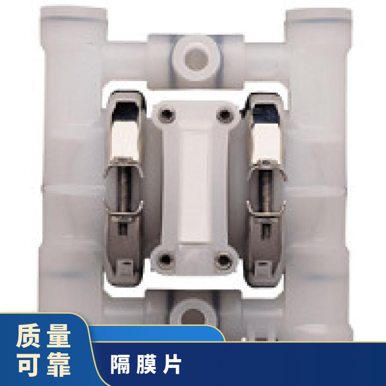 15-12056?? ?威尔顿wilden气动隔膜泵?? ?XPX/SSSSS/FB