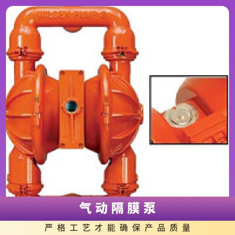 P200/AAPPP/BNS/BN/ABN/0678 威尔顿塑料隔膜泵P1500 02-1218