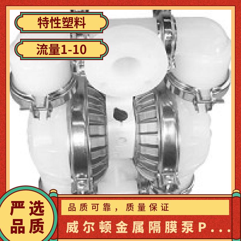 P4/SSAPP/FSS/FS//0070 威尔顿金属隔膜泵PX800 15-11840?