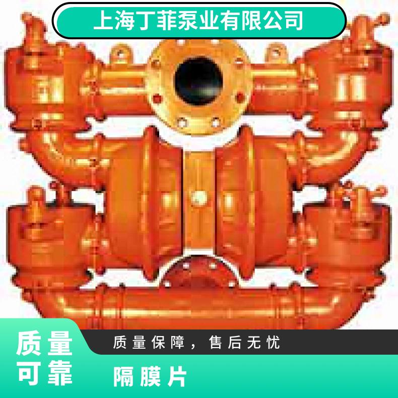 15-11838?? ?威尔顿wilden气动隔膜泵?? ?XPX/WWAAA/WF