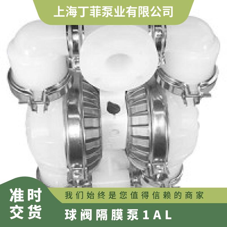 T8/AAAPB/NEU/NE/ 威尔顿塑料隔膜泵P25 04-10073?? ?威