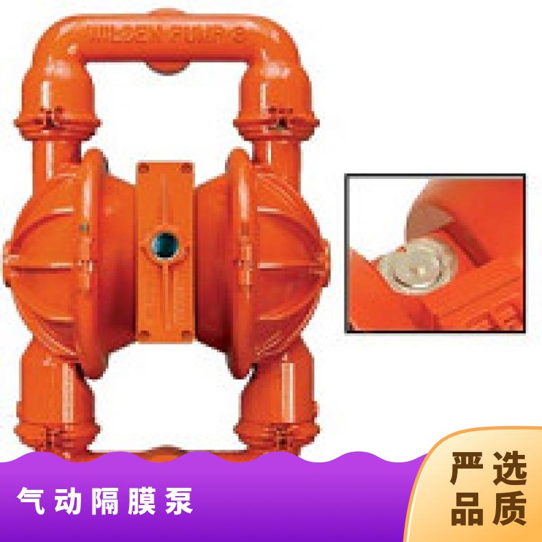 PX200/WWAAA/EPS/TF/MEP/0677 威尔顿塑料隔膜泵P XPX15/A