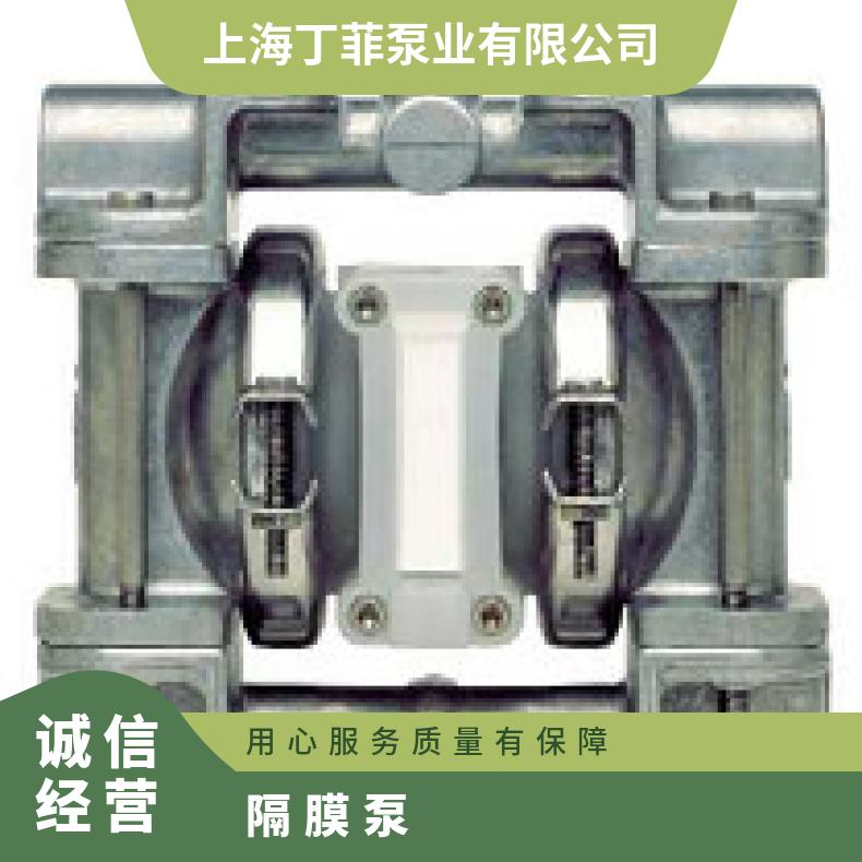 PX200/AAAAA/TSU/TF/ATF/0697 威尔顿隔膜泵保养 P1/KKPPP/WF