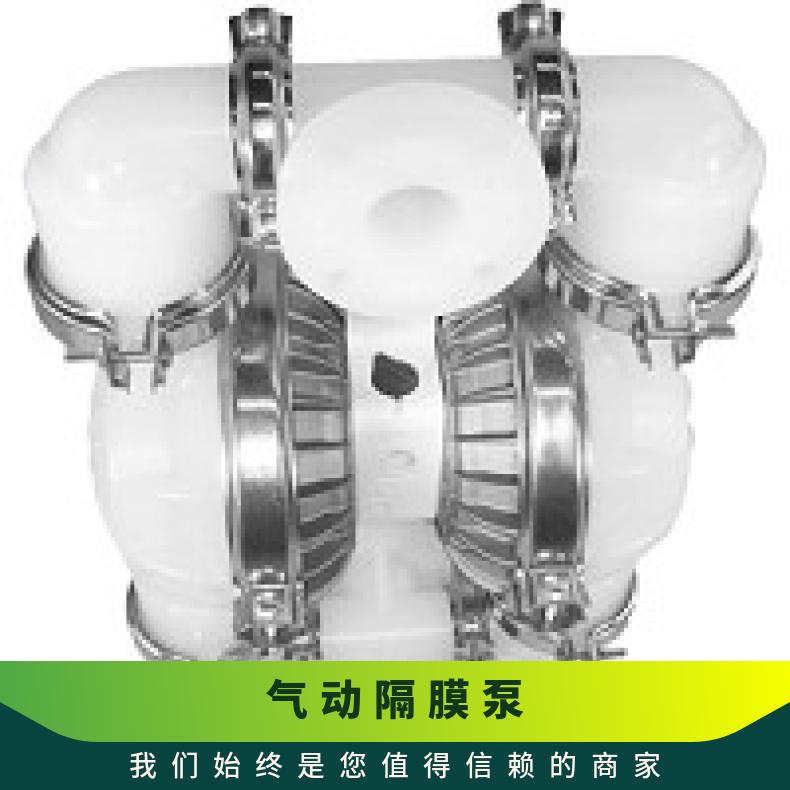 P1/AALLL/BNS/BN/ABN/0490 威尔顿塑料气动隔膜泵PX4 08-1111