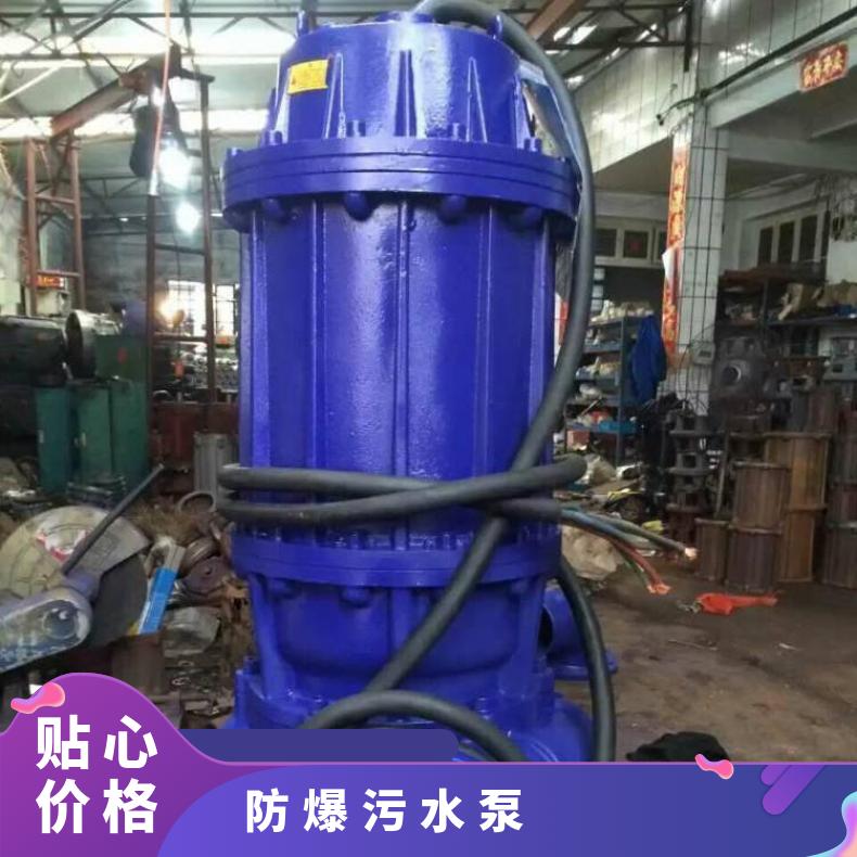 WQR150-180-50-55 耐高温防爆污水泵 全保排污泵 10m~60m 不阻塞 电动