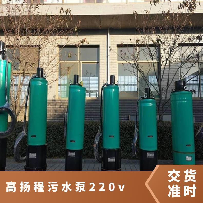 WQX80-420/7-220 米无堵塞高扬程污水泵 高扬程污水泵v