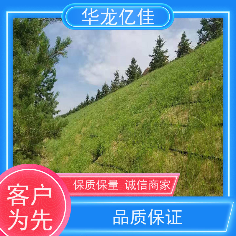 国标 秸秆护坡草毯 荒漠治理植被固土 华龙亿佳供应