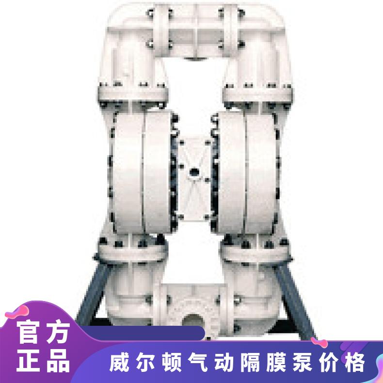 02-11749?? ?威尔顿wilden气动隔膜泵?? ?XPX200/SSAAA/X